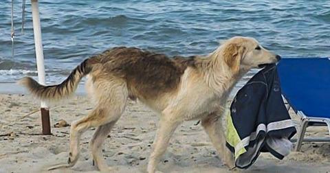 4-beach-1560181452019.jpg