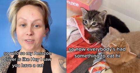 Amazon driver credited with saving kittens