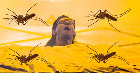 skrillex mosquito cover