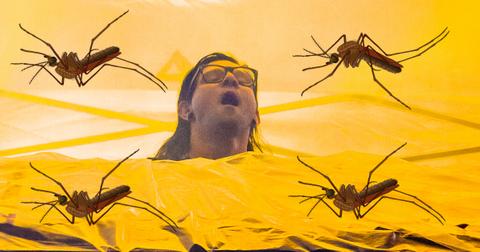 skrillex-mosquito-cover-3-1554219483036.jpg