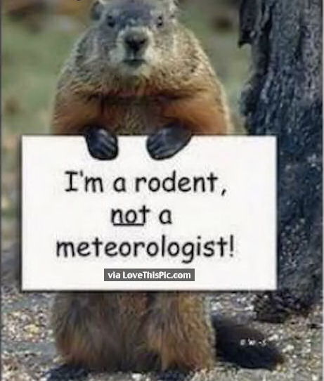 funny groundhog day memes