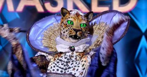 masked singer leopard