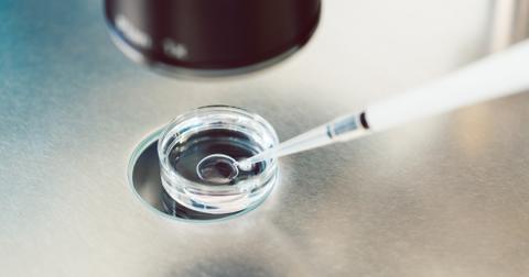 3-ivf-wrong-embryo-1562863557936.jpg