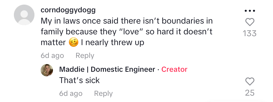 tiktok comment about family having no boundaries