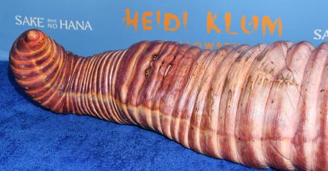 Heidi Klum worm