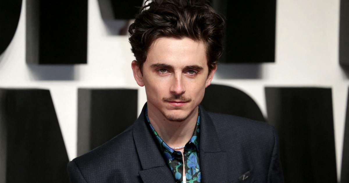 Timothée Chalamet's Net Worth Is Impressive