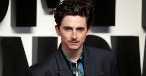 Timothée Chalamet's Net Worth Is Impressive