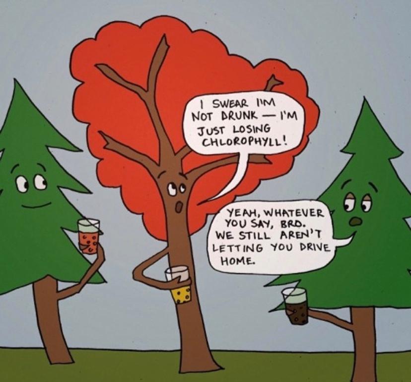 funny earth day captions