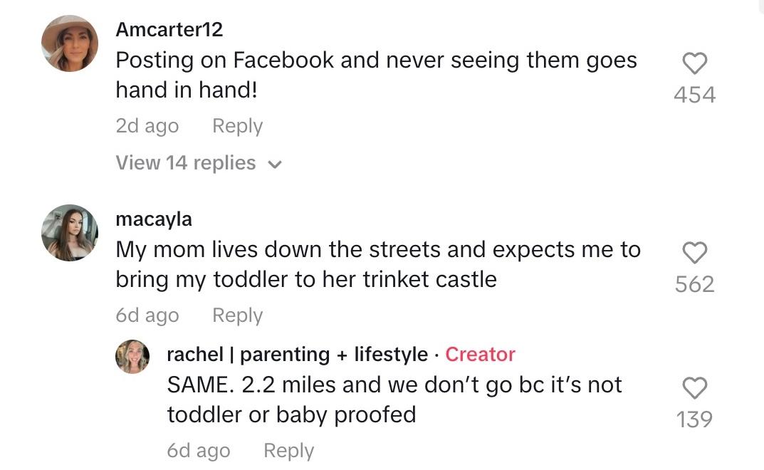 Commenters discussing grandparents' roles in their grandchildren's lives