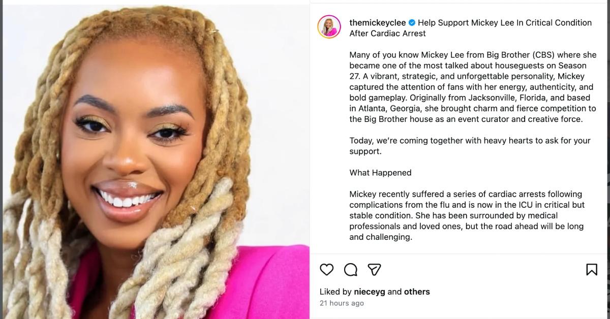 Mickey Lee's GoFundMe page