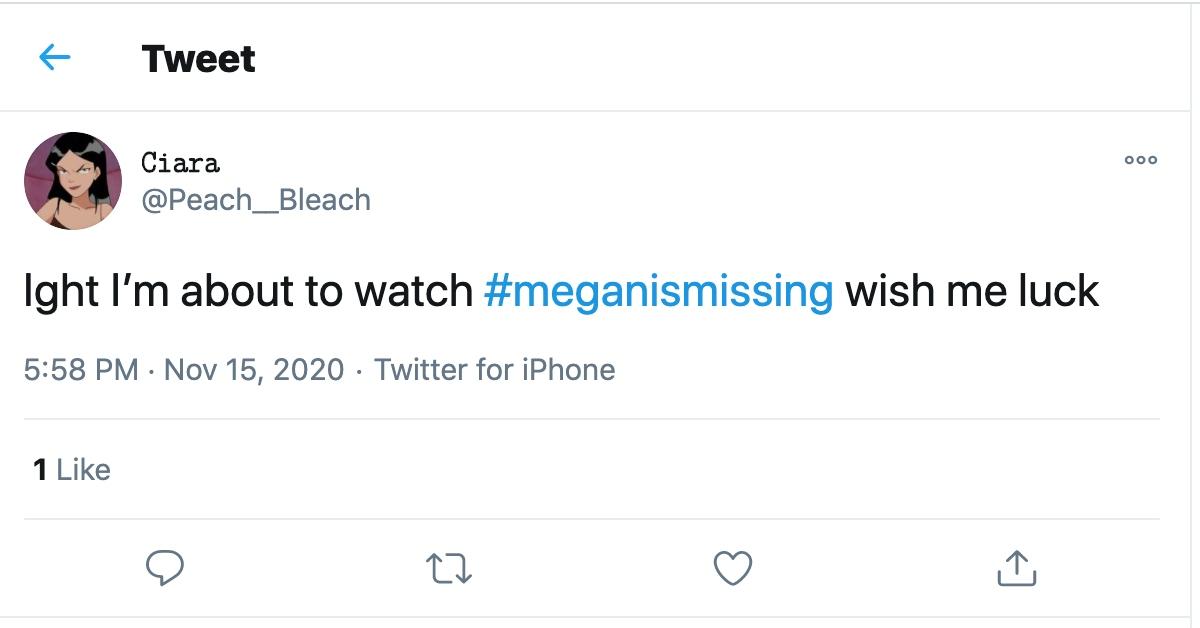 is megan is missing real