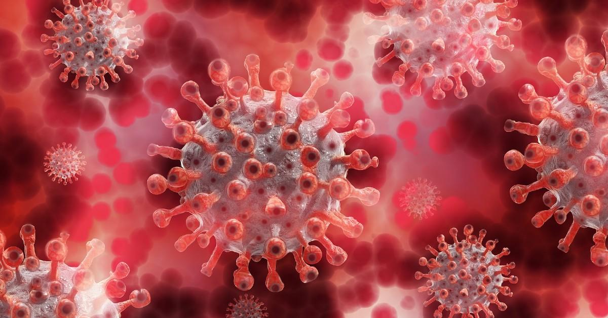 Closeup picture of a virus