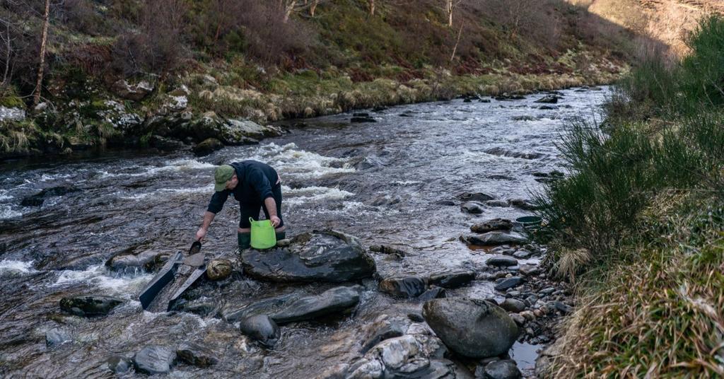 what-is-placer-mining-the-technique-is-utilized-on-gold-rush