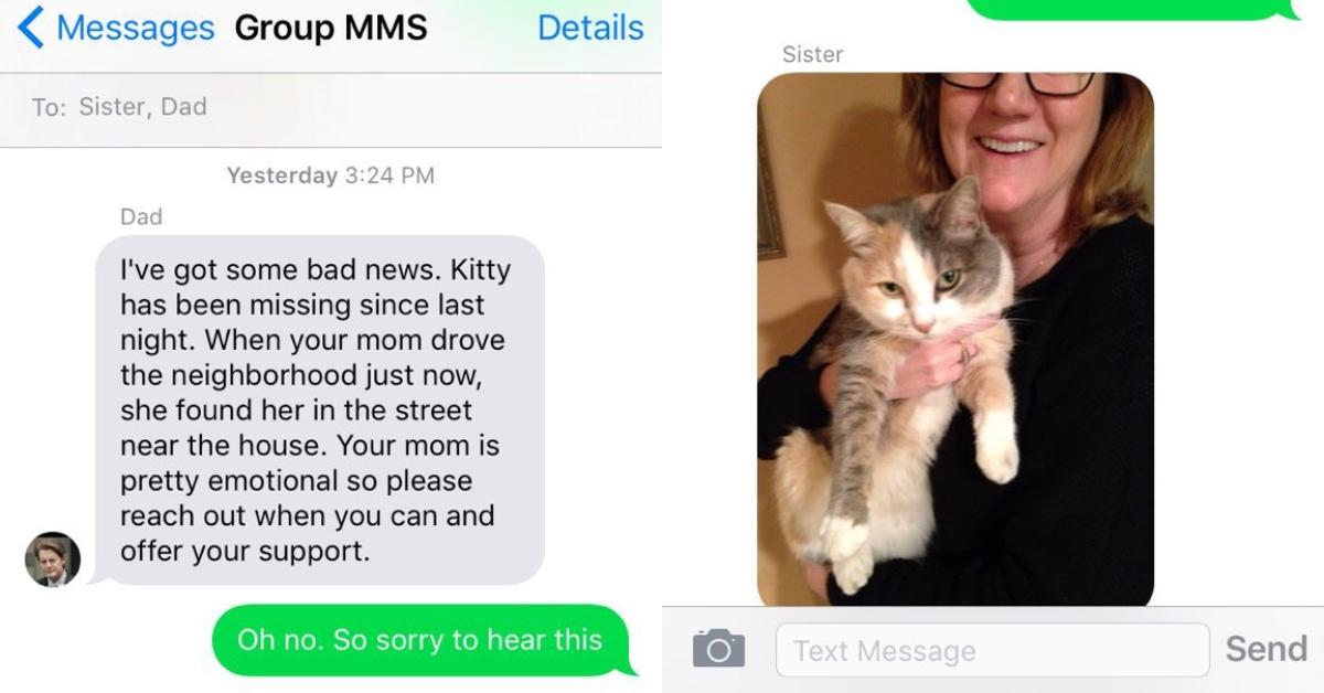 Family Cat Found Dead, So They Buried Her — But Then She Appeared at