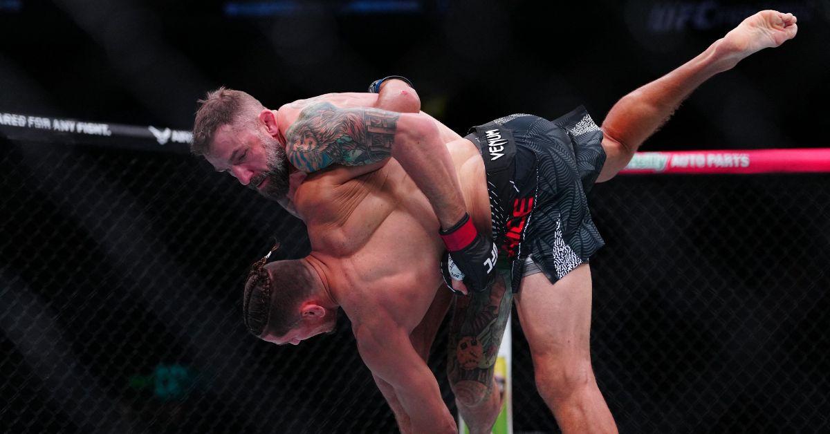 A UFC Fight