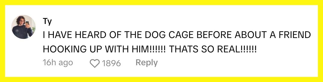 TikToker @mangomartian claimed that a friend of their's also hooked up with Vinny and noticed the dog cage kink.