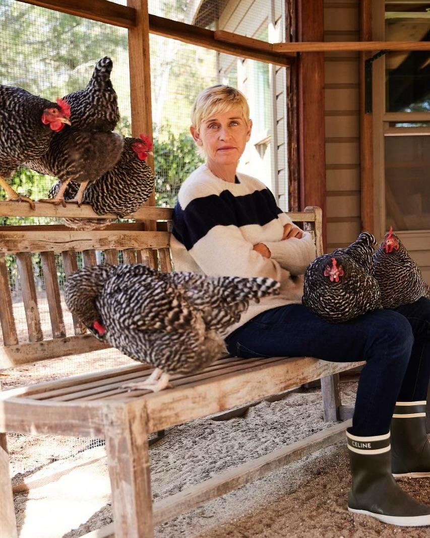 Ellen DeGeneres with her chickens 