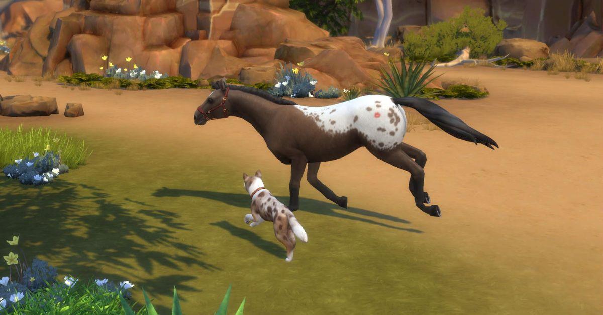 horse ranch sims 4 dogs