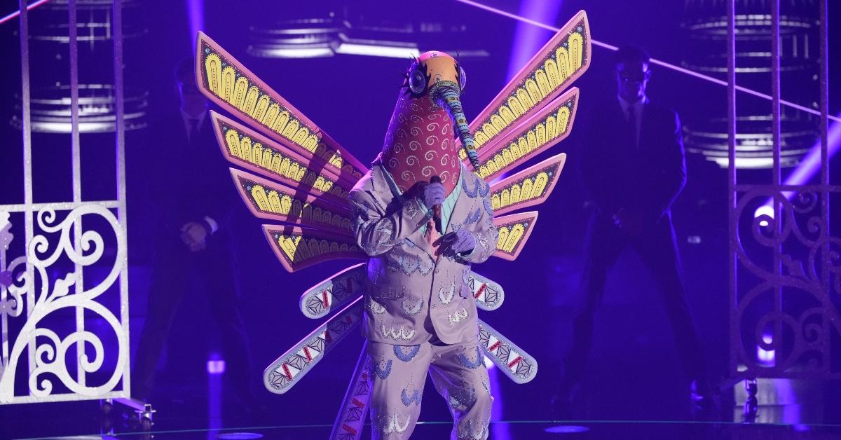 The Masked Singer 2023: Who Is Macaw?