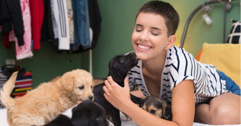 woman-playing-with-puppies-picture-id1042003110-1555682519928.jpg