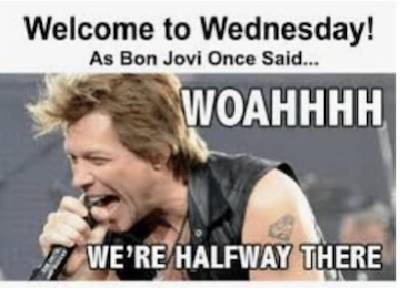 Image result for hump day meme