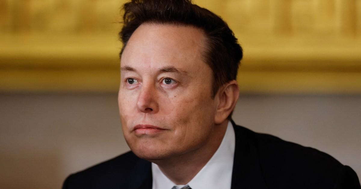 Elon Musk looking out into the distance