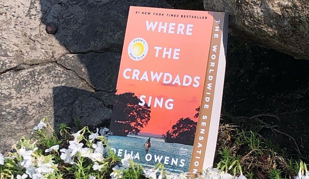 where the crawdads sing book review no spoilers