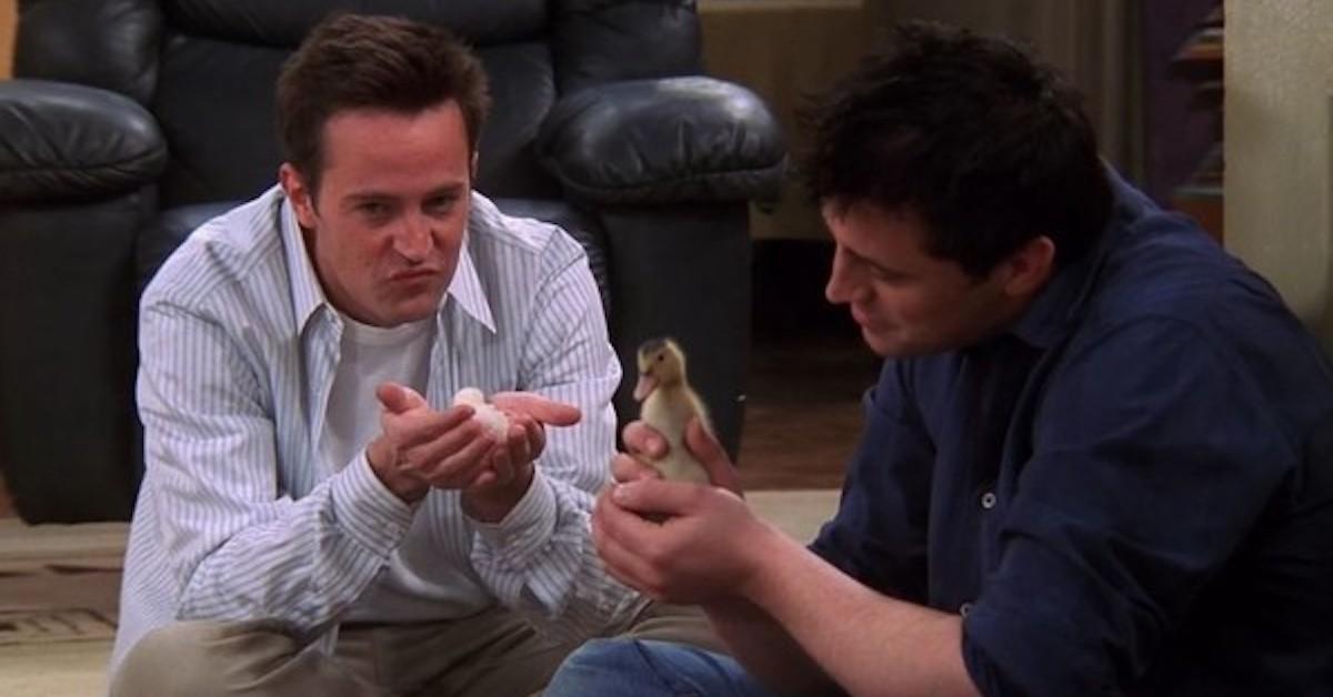 Chandler and Joey with Chick Jr. and Duck Jr.