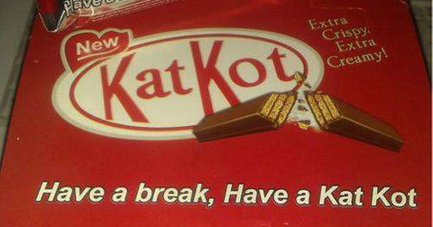 23-kat-kot-1557503814379.jpg