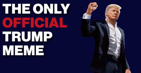 Donald Trump Meme Coin