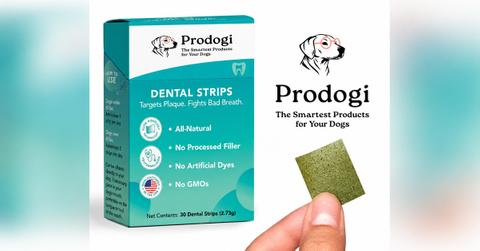 Dog's Oral Health