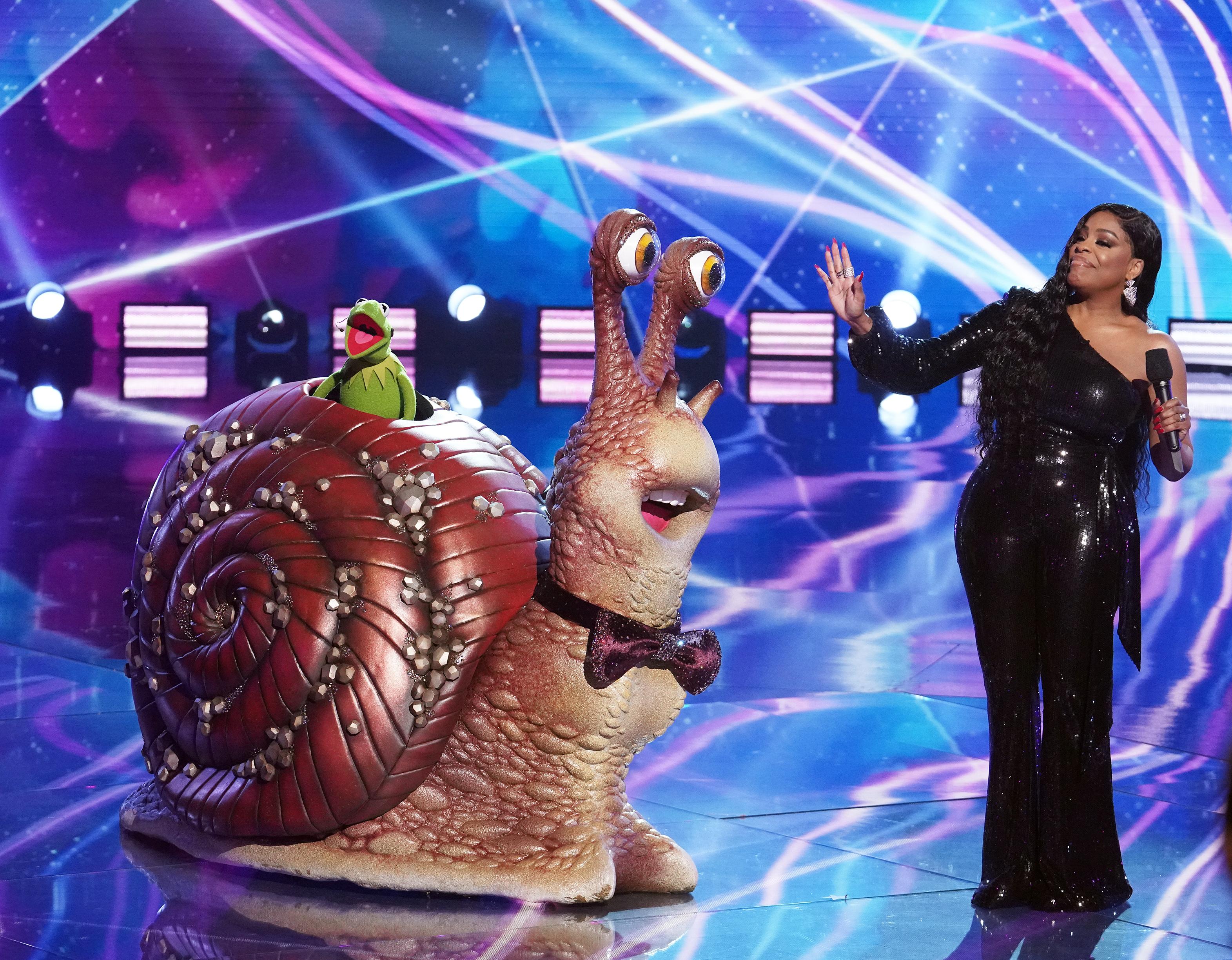 Every Celebrity Contestant on 'The Masked Singer