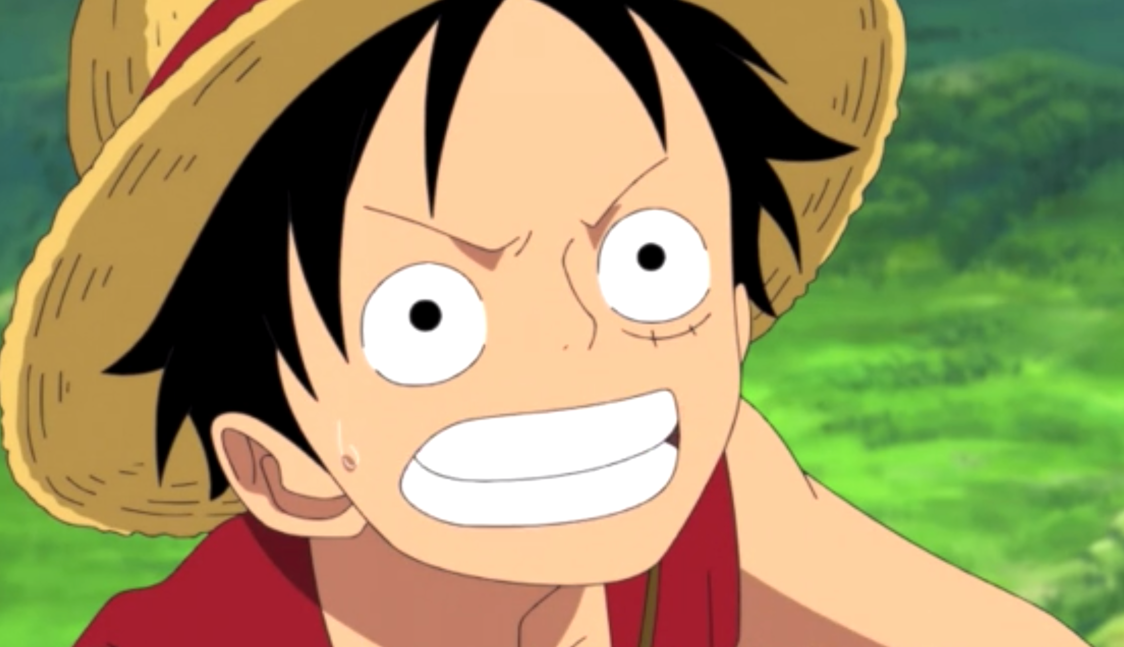When Is the Timeskip in One Piece? What Did the Straw Hats Do?