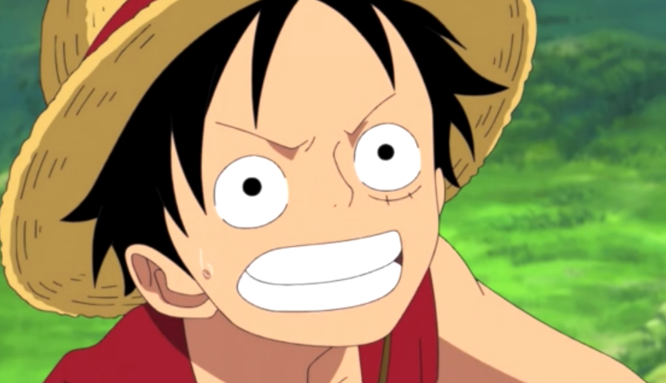 Monkey D. Luffy (Pre-Timeskip)