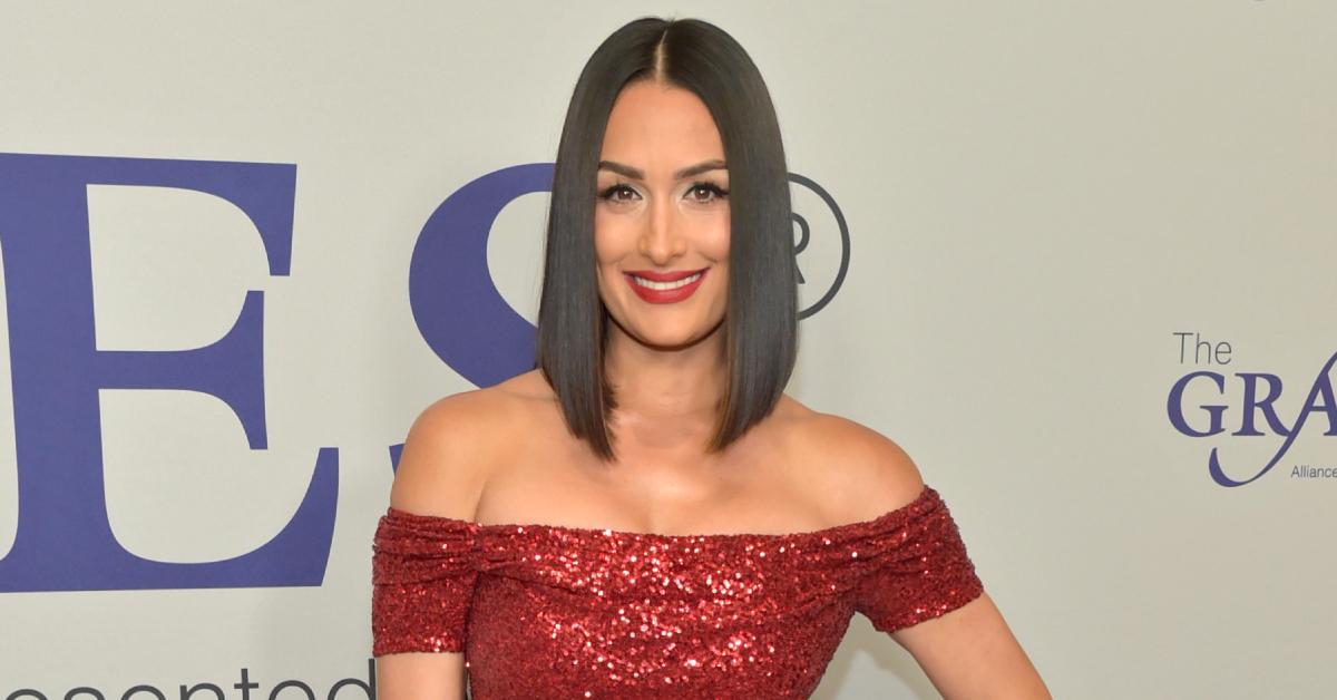 What Is Nikki Bella's Net Worth? Details on the WWE Star