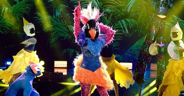 Exotic Bird on The Masked Dancer
