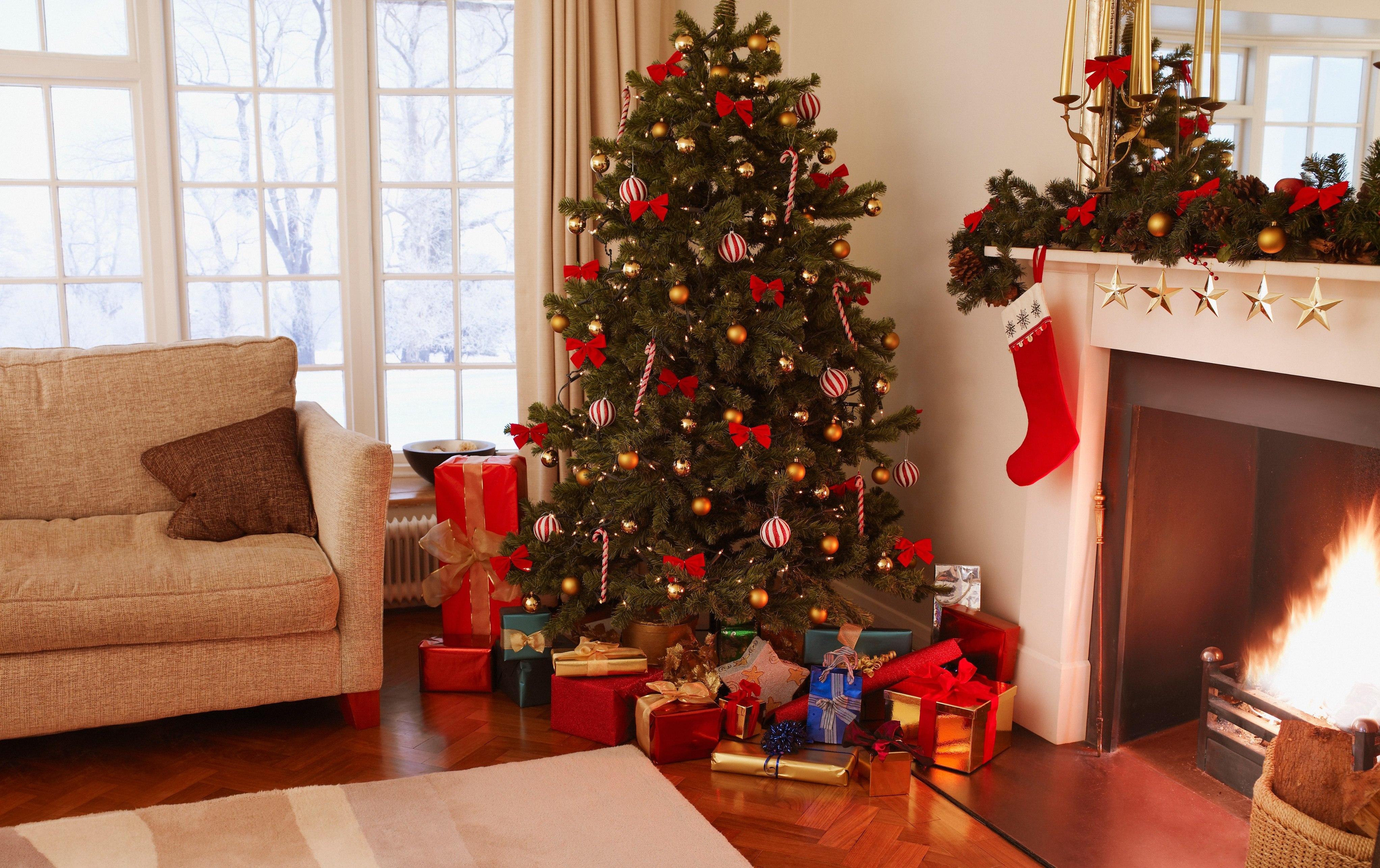 Gifts under Christmas tree in living room