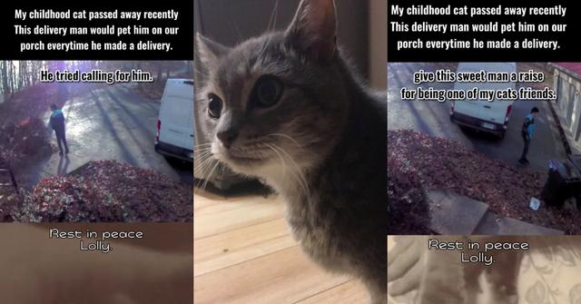 Delivery Man Searches for Cat He Doesn’t Know Passed Away