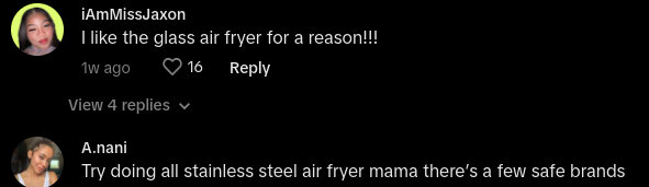 air fryer lead test tiktok