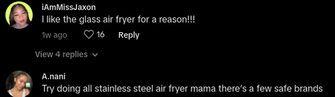 air fryer lead test tiktok