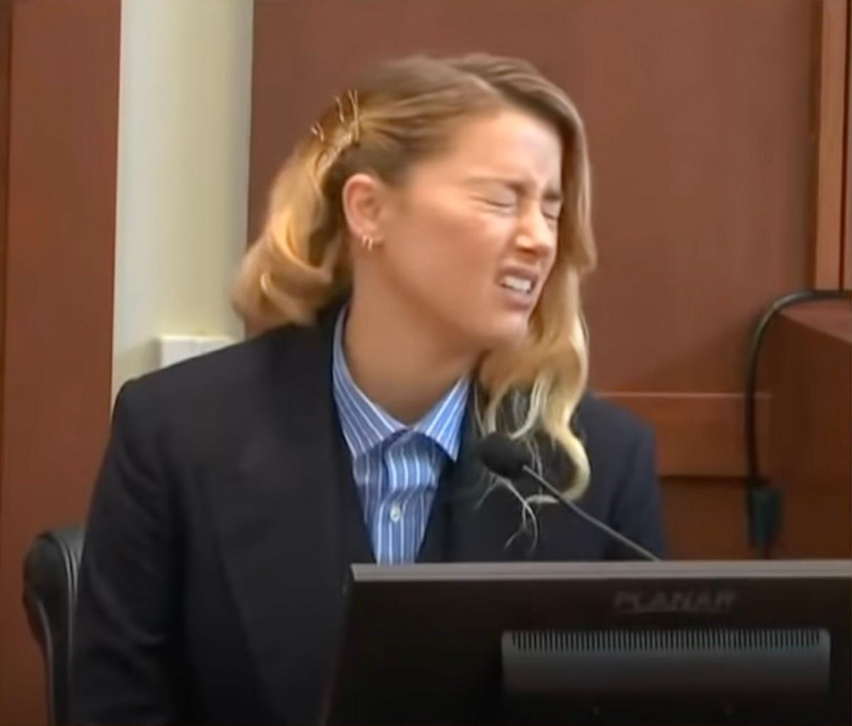 Amber Heard 'my dog stepped on a bee' TikTok: Context explained as