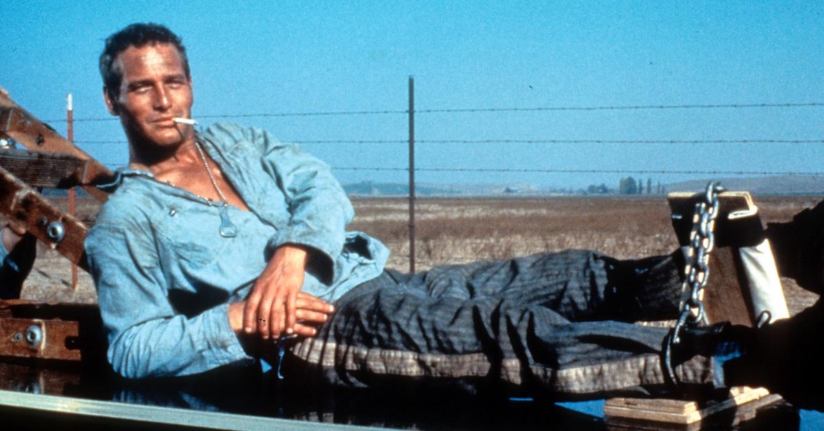 Paul Newman in 'Cool Hand Luke.'