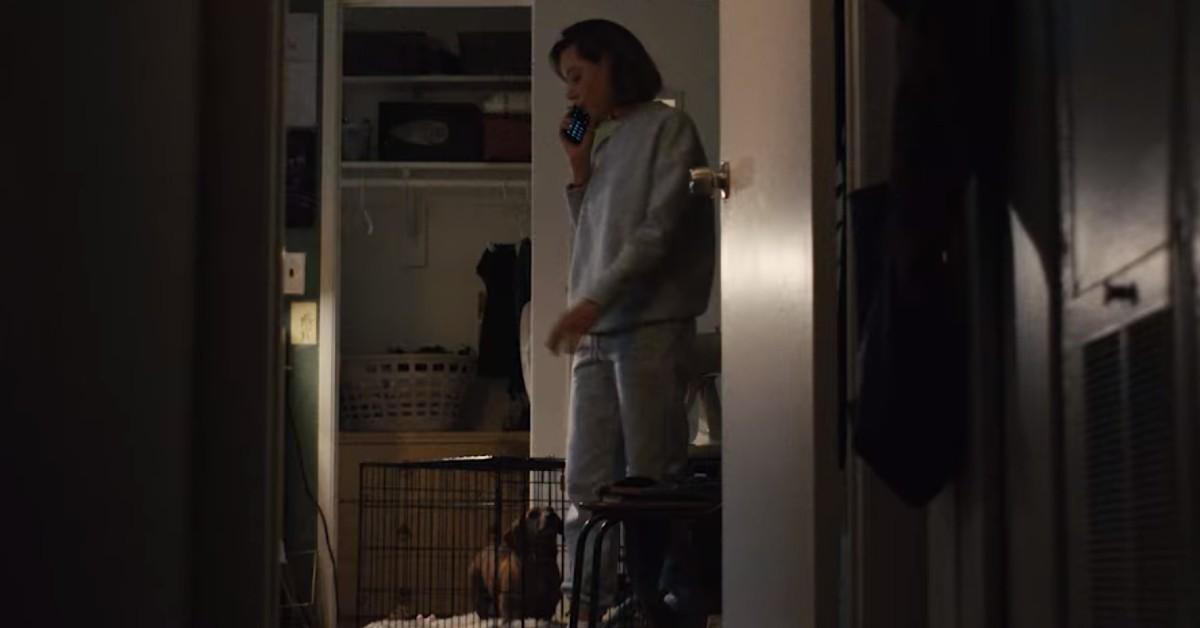 Does the Dog Die in 'Emily the Criminal'?