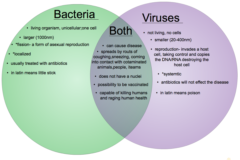 morphology-of-microorganisms-cocci-vector-illustration-cartoondealer