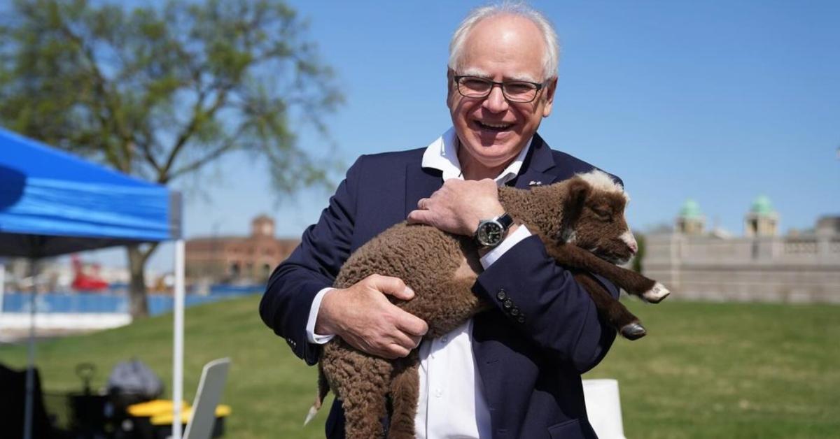 Tim Walz holding a baby lamb