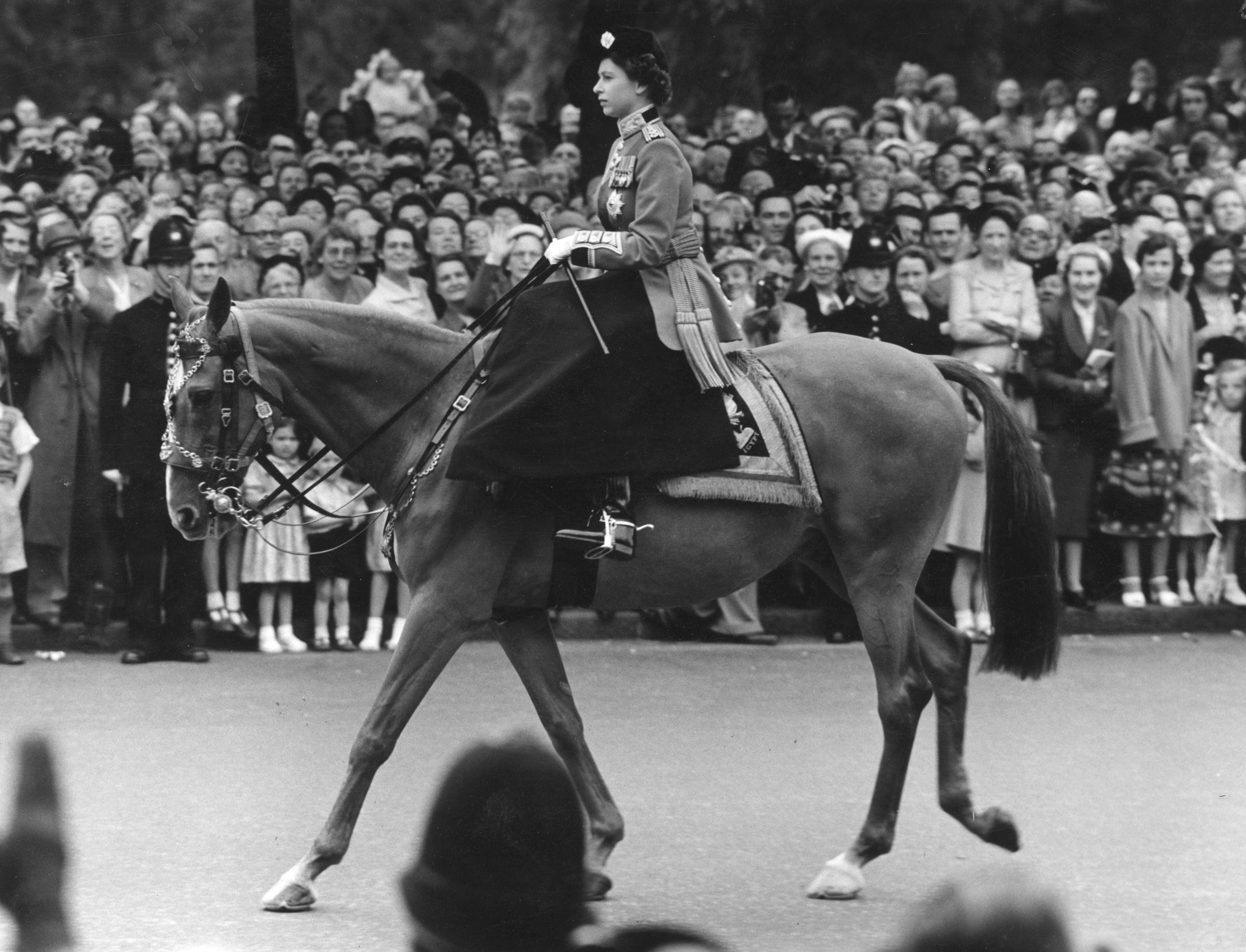 queen elizabeth ii horse