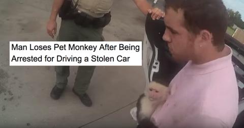 florida headlines  cover