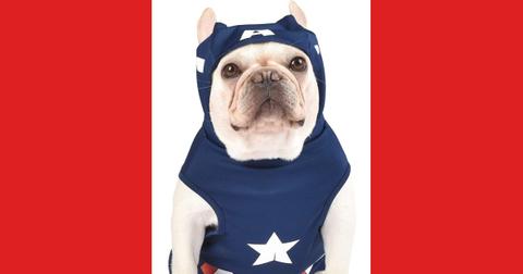 The Captain America dog costume.
