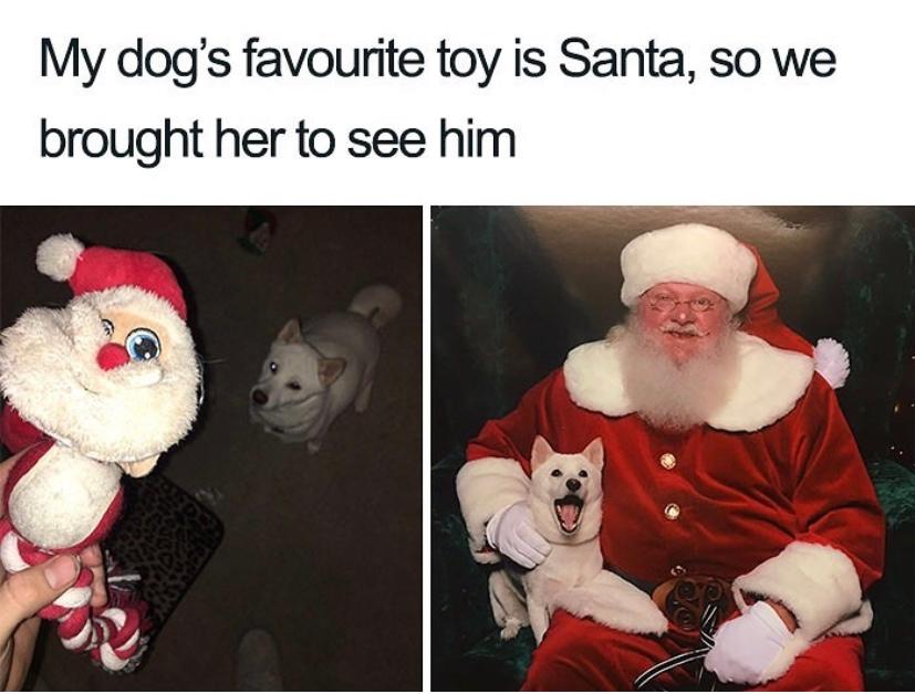 25 Xmas Memes Funny Season Greetings to Share with Friends and Family