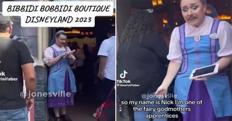 Disney Employee's “Fairy Godmother” Costume Sparks Debate, Others Come to His Defense